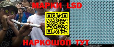 эйфоретик Владимир