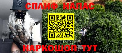 СК Владикавказ