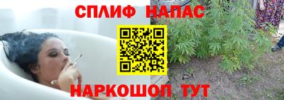 СК Владикавказ
