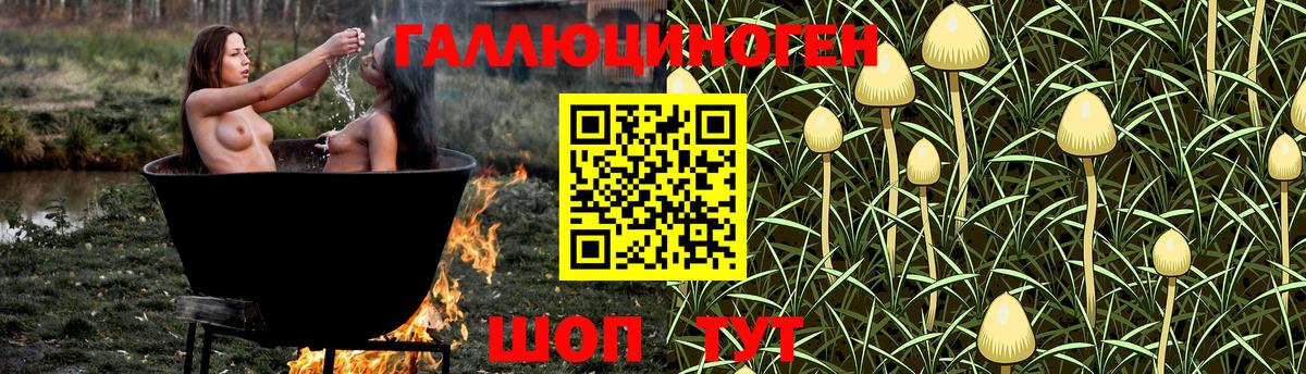 Псилоцибиновые грибы GOLDEN TEACHER Конаково